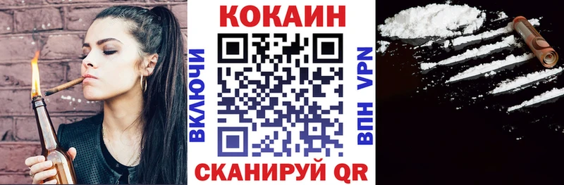Купить закладки  Нестеровская  Кокаин Fish Scale 