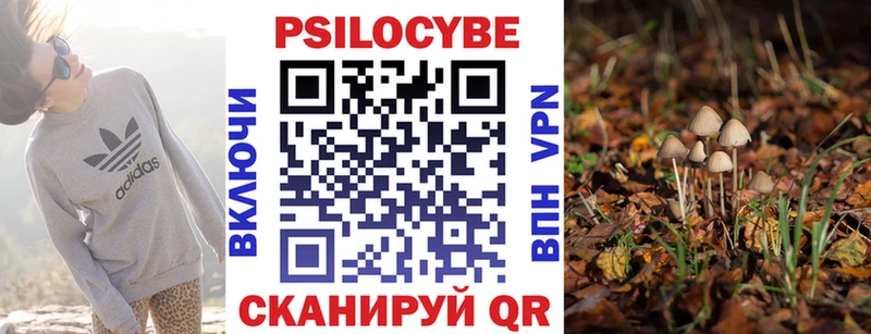 Галлюциногенные грибы Magic Shrooms  Купить где  Нестеровская 